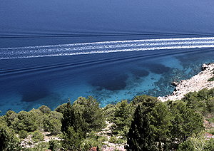 LEICA R8, ELMARIT-R 2,8/90